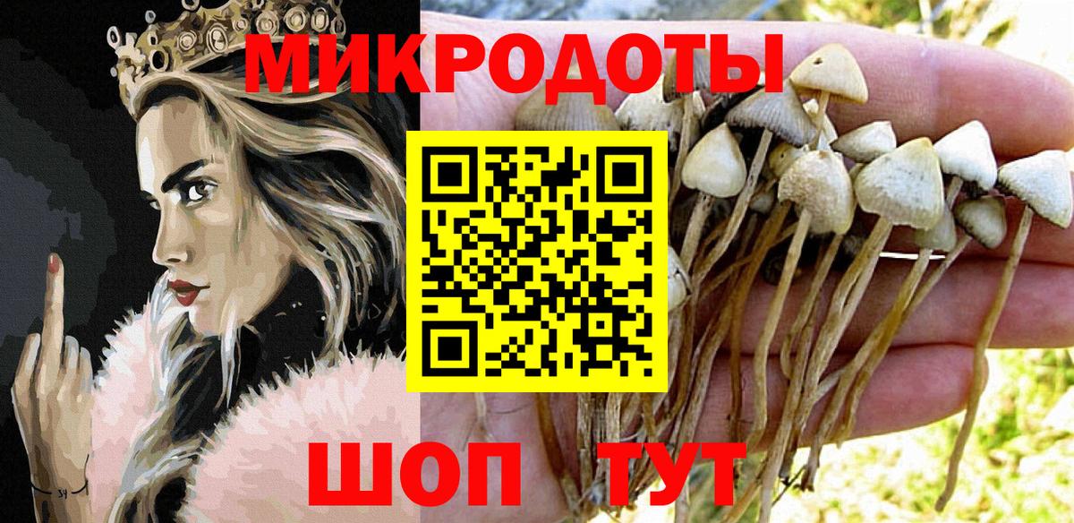 Псилоцибиновые грибы мухоморы Ржев